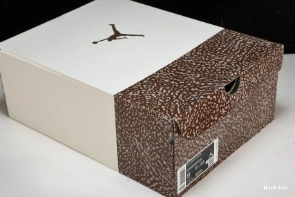 Jordan Air 3 CT8532-102 "Palomino" 1019